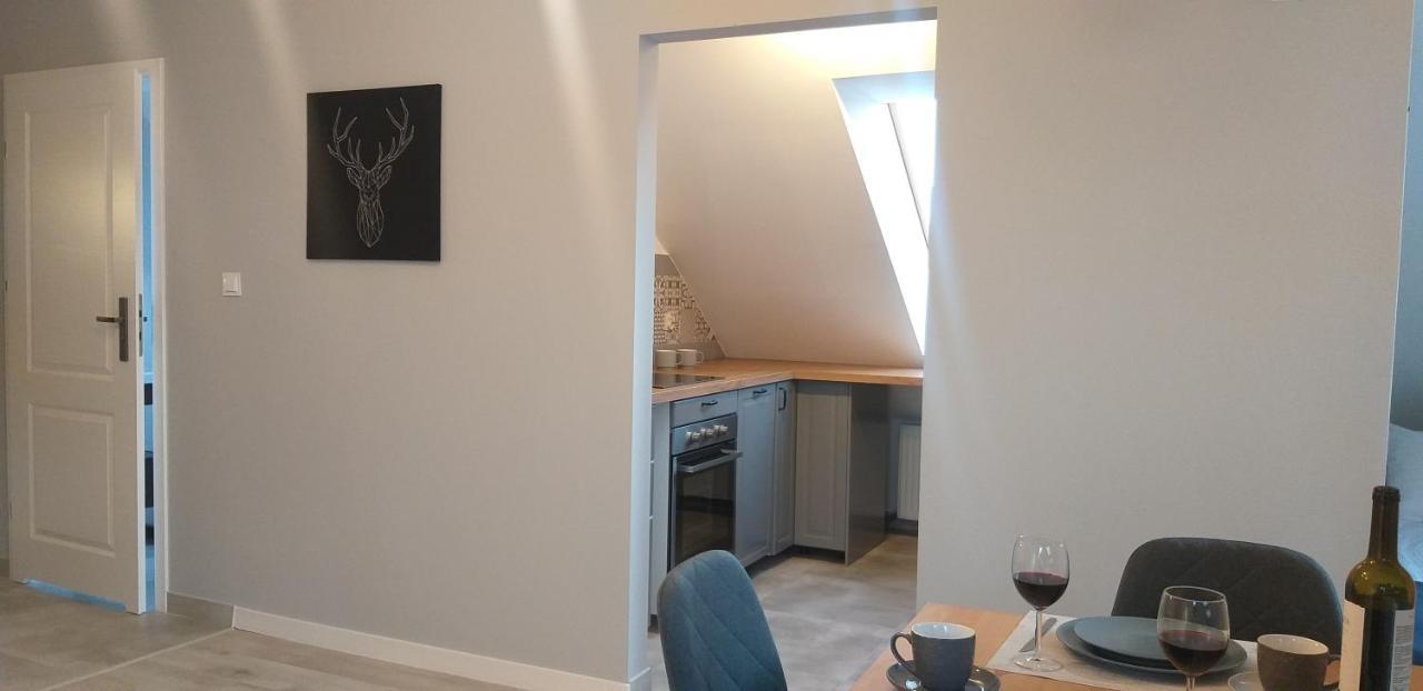 Apartamenty Nad Niwka Bielsko-Biała Esterno foto