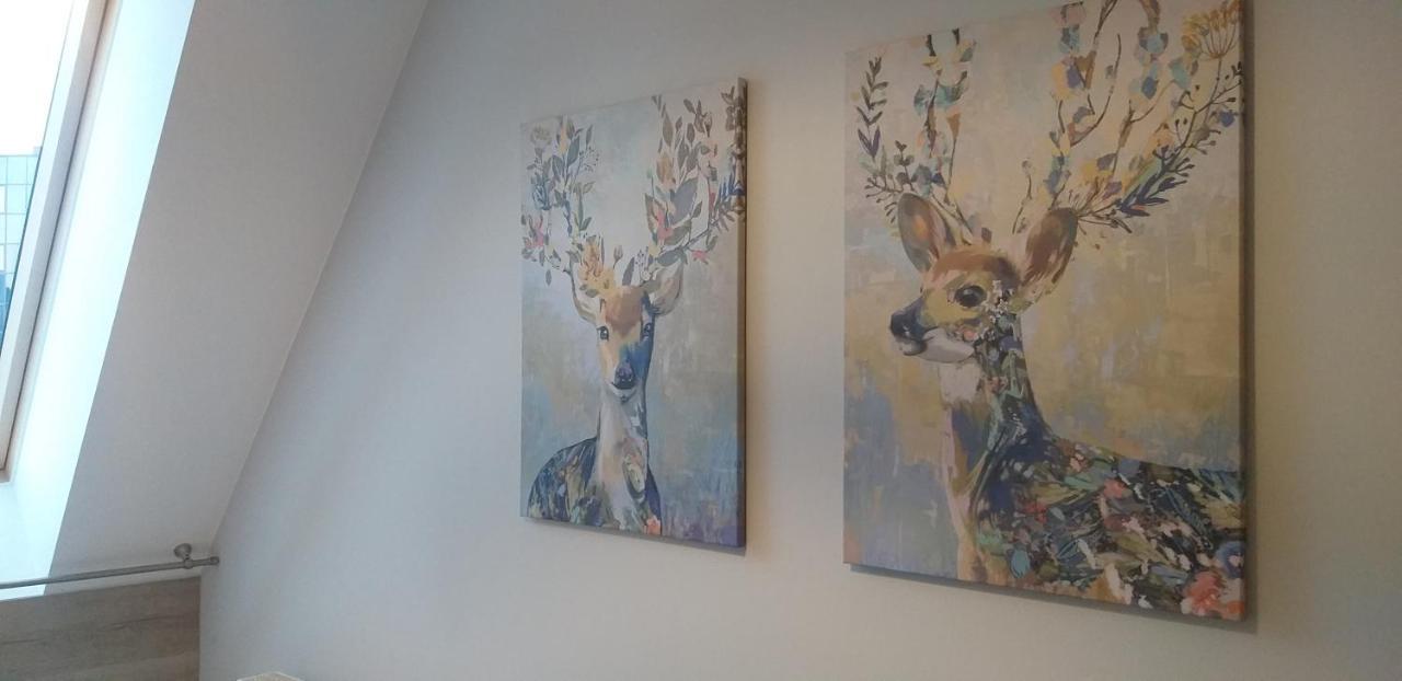 Apartamenty Nad Niwka Bielsko-Biała Esterno foto